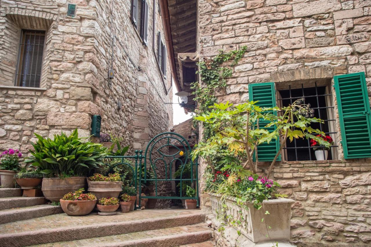 La Viola Di Assisi Hotel Buitenkant foto