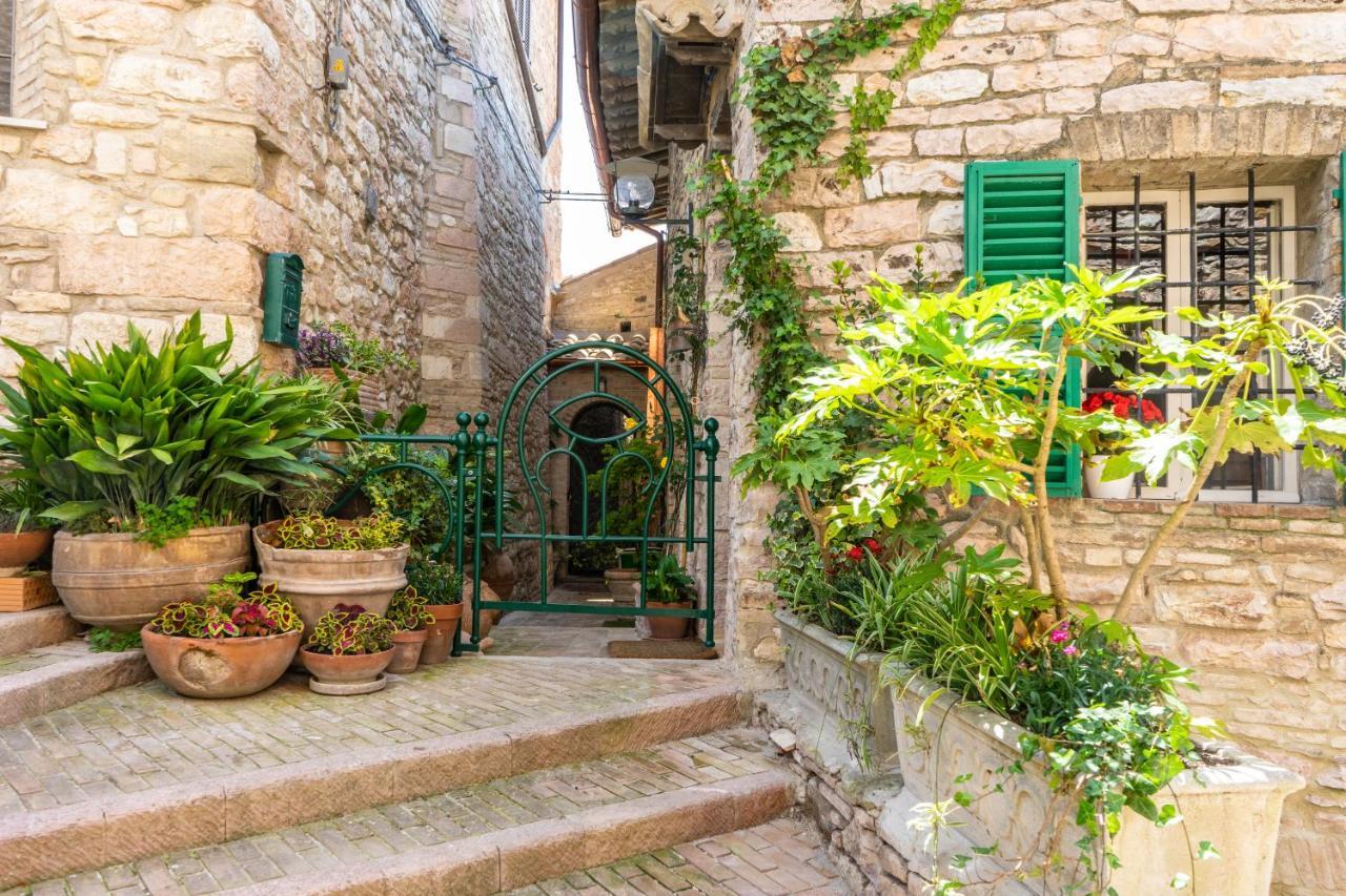 La Viola Di Assisi Hotel Buitenkant foto
