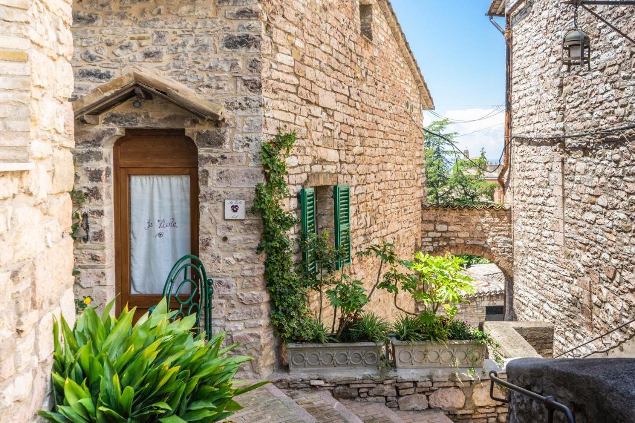 La Viola Di Assisi Hotel Buitenkant foto